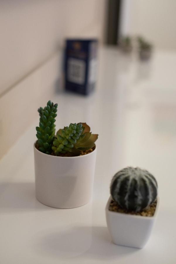 Medluxe Cozy Apartment! Atény Exteriér fotografie